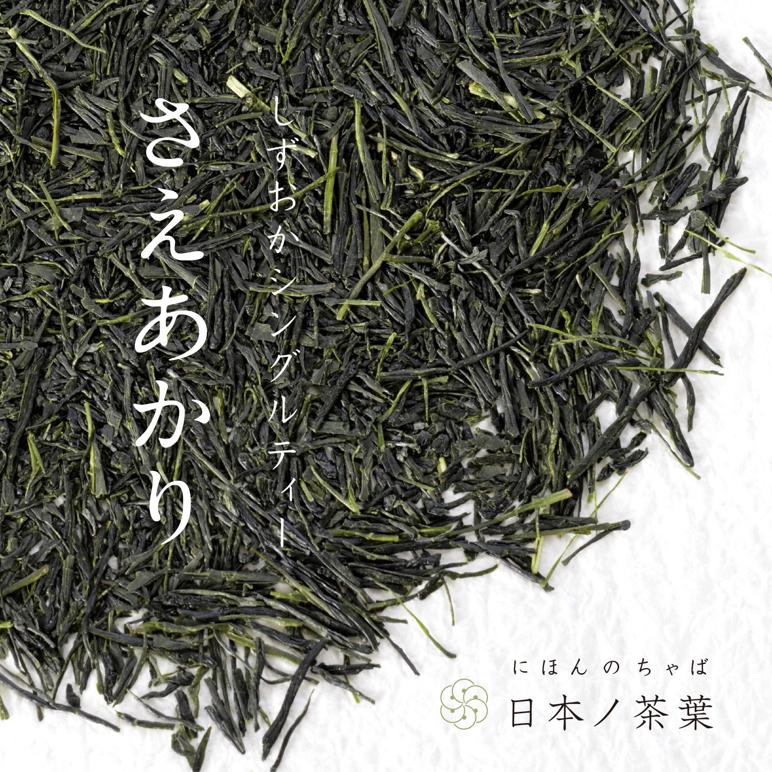 日本ノ茶葉しずおかシングルティー「さえあかり」浅蒸し｜おいしい日本茶研究所