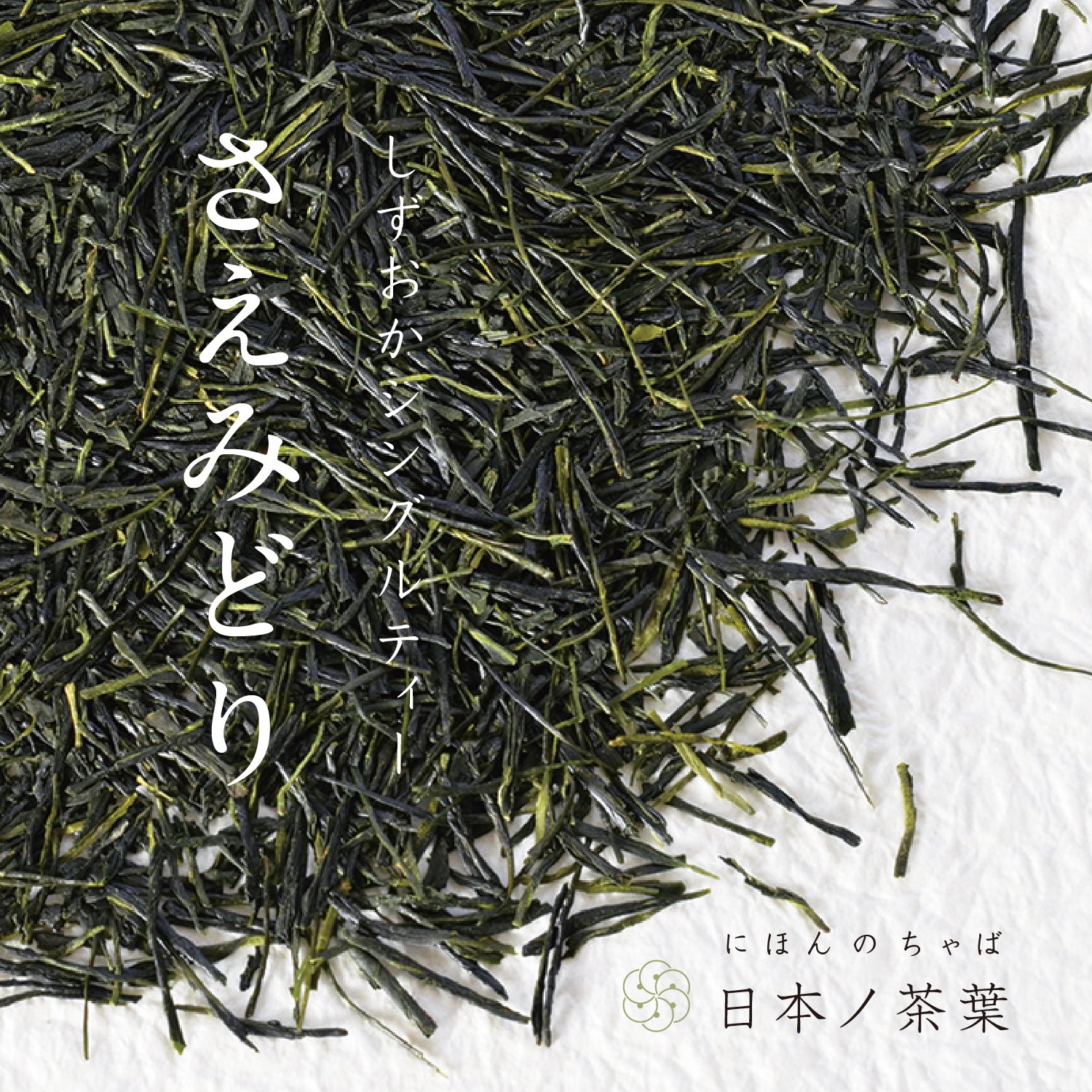 【さえみどり】しずおかシングルティー「浅蒸し」早生品種サラブレッド｜おいしい日本茶研究所