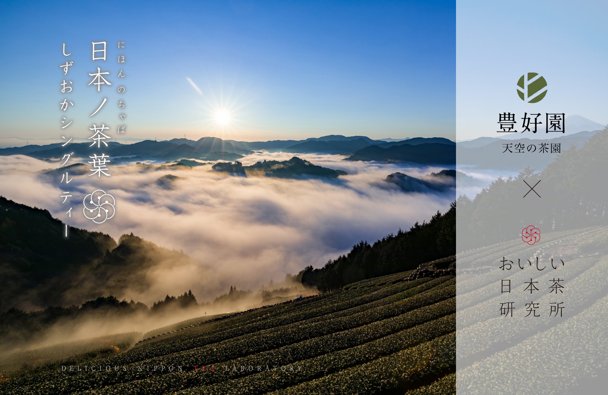 静岡は超山間部な両河内、雲海と富士を望む天空の茶畑「豊好園」