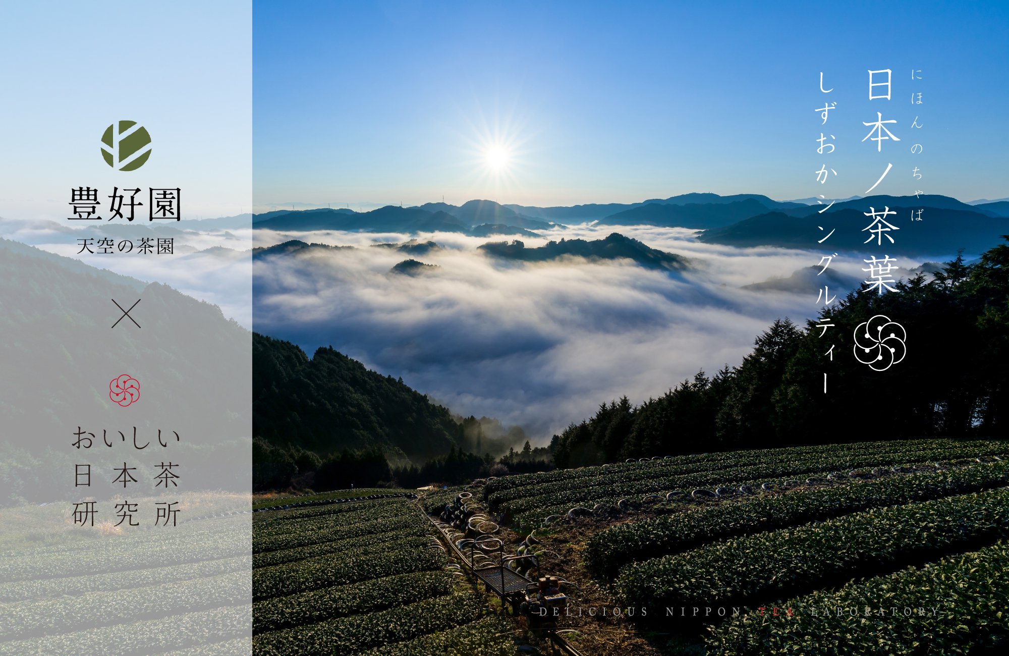 静岡山間部の両河内、雲海と富士を望む天空の茶畑「豊好園」と「おいしい日本茶研究所」のコラボによる浅蒸し単一品種茶