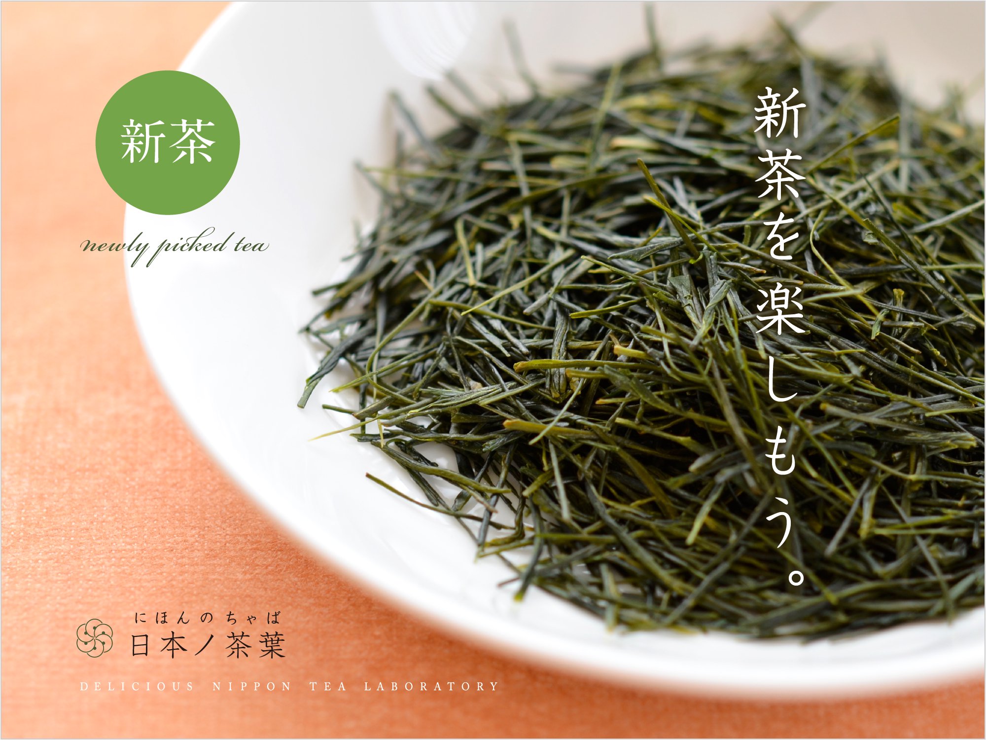 日本ノ茶葉「新茶ギフト：新茶を楽しもう！」｜おいしい日本茶研究所