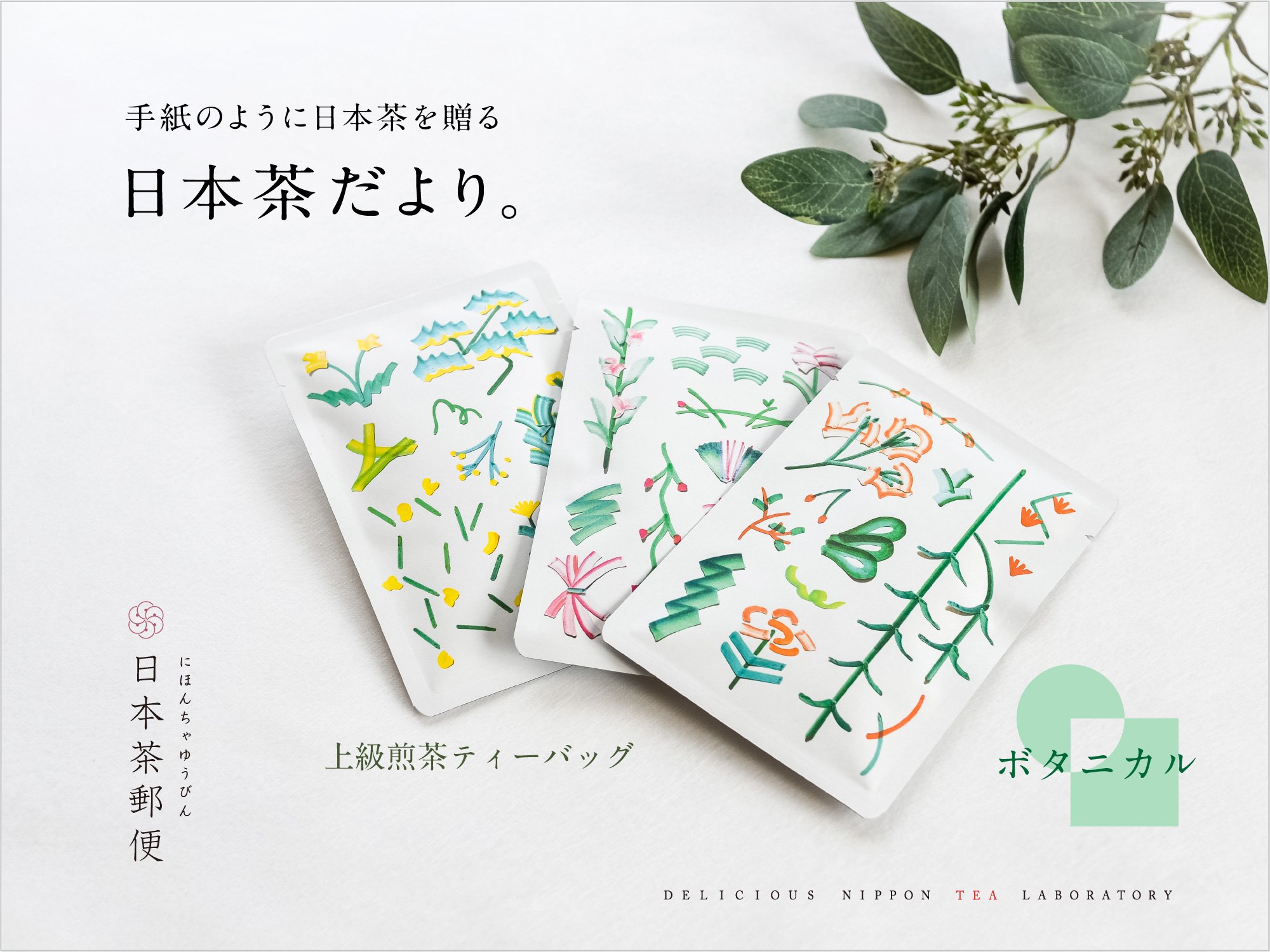 【日本茶郵便：ボタニカル】手紙のように日本茶を贈る「日本茶だより」｜おいしい日本茶研究所