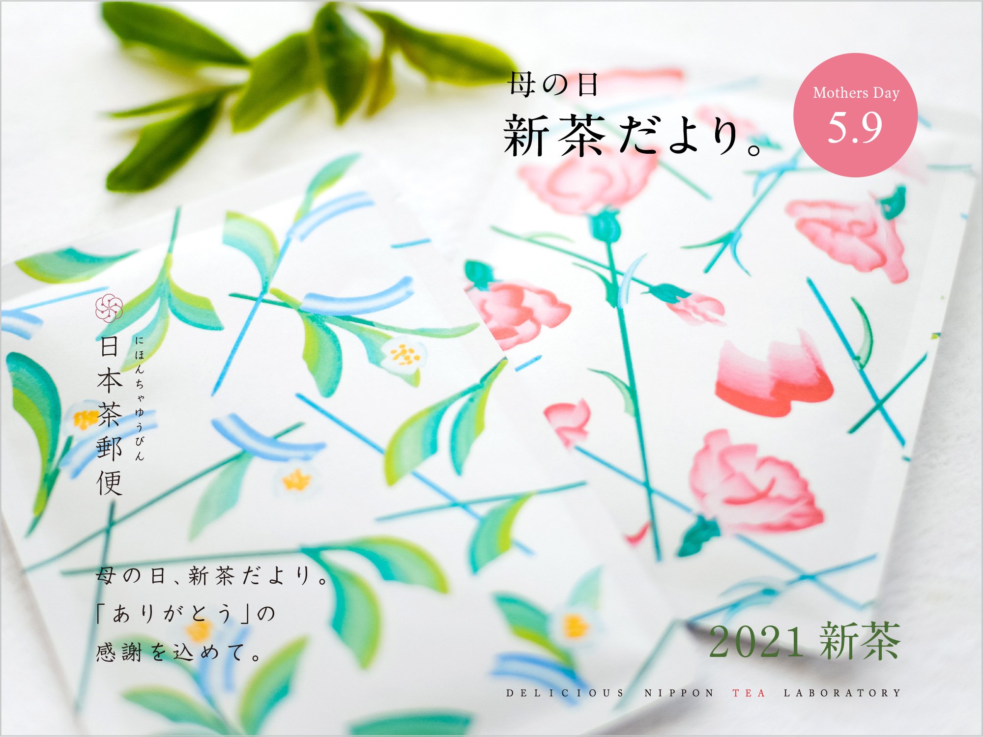 新茶2021「母の日」贈答ギフトBOX｜おいしい日本茶研究所