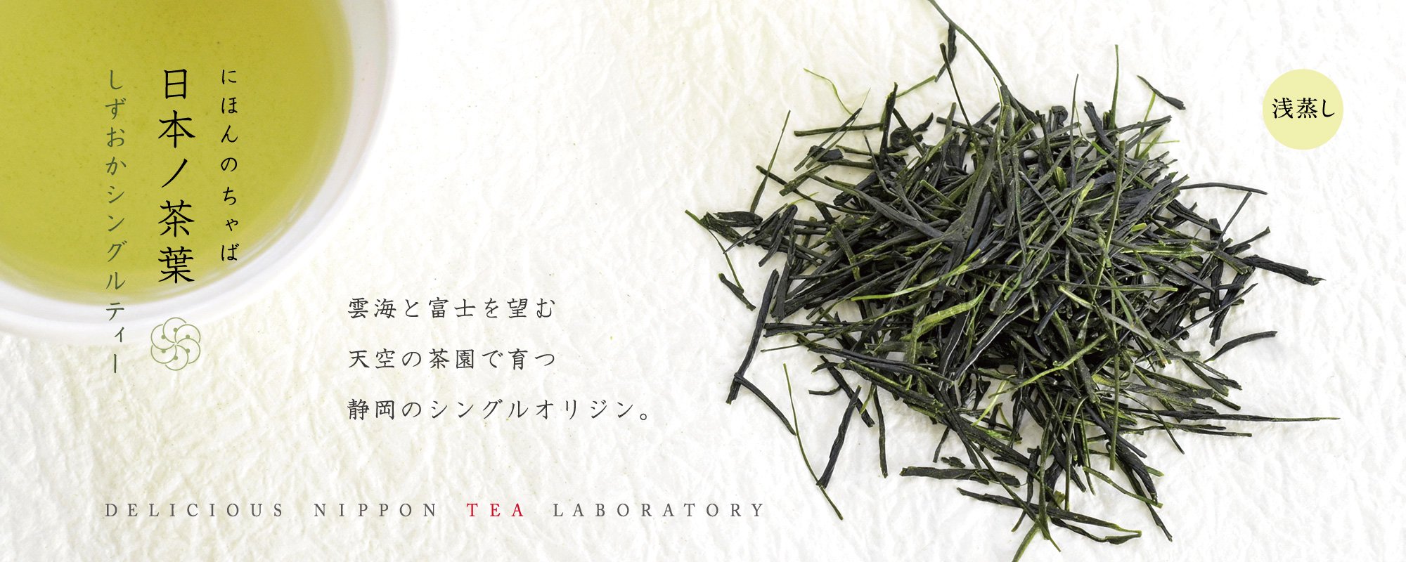 「日本ノ茶葉シングルティー」おいしい日本茶研究所