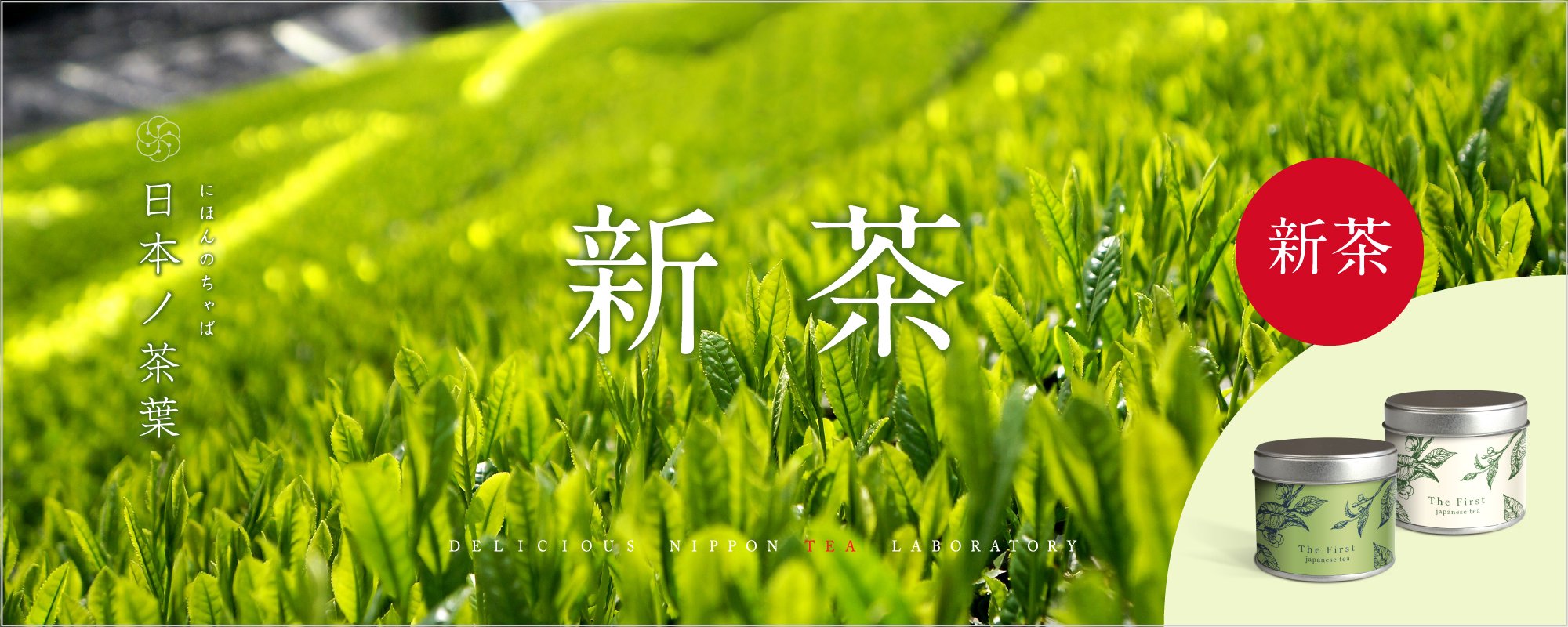 【2022新茶】日本ノ茶葉贈答ギフト｜おいしい日本茶研究所