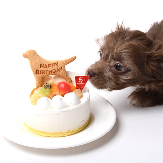 かわいい犬用バースデーケーキ ペット用品おやつの通販ショップ｜ハミングドッグ