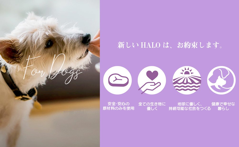 かわいい犬用バースデーケーキ ペット用品おやつの通販ショップ｜ハミングドッグ