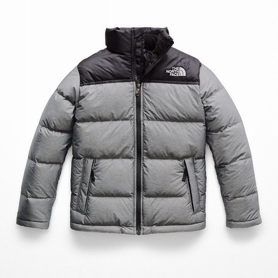 The North Face Puffer Jacket 700 Flash Sales 51 Off Rockyourbody Net