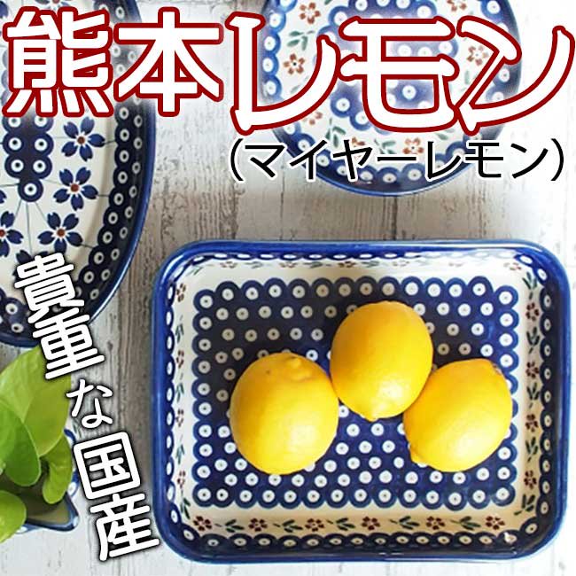 熊本レモン　国産　貴重　写真