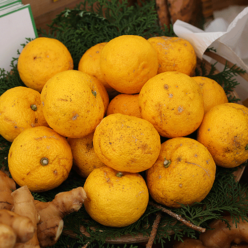 柚子酢とはゆず果汁100％ジュースです。土佐山産の栽培期間中農薬不 