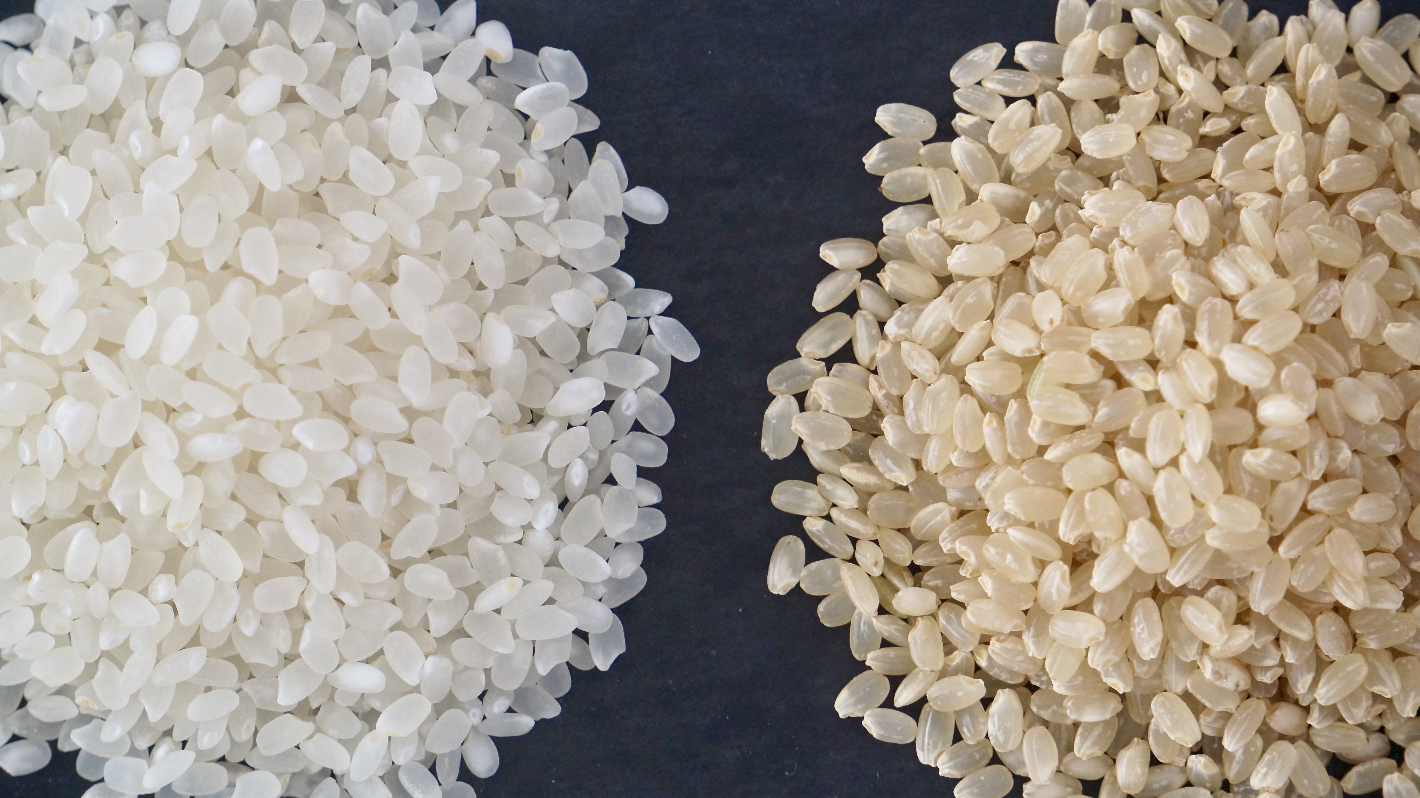 コシヒカリの白米と玄米