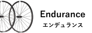 Endurance ǥ