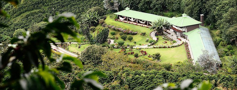 パナマグランデルバル農園の風景です
