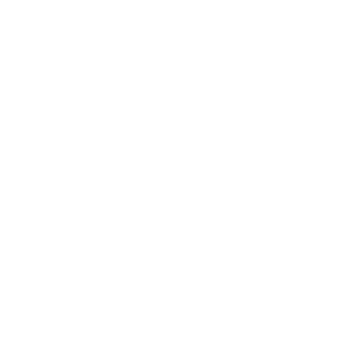 トラディショナルパシュミナのロゴ