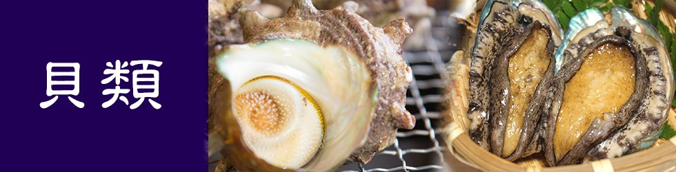 日本海で採れた新鮮な貝（サザエ・アワビなど）