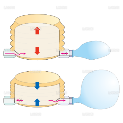 空気入れの原理 Sサイズ Laiman Stockweb メディカルイラスト素材のダウンロード販売