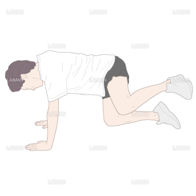 四つんばい姿勢からの上下肢を浮かす運動 ｍサイズ Laiman Stockweb メディカルイラスト素材のダウンロード販売
