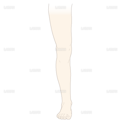 脚の周径測定 ｍサイズ Laiman Stockweb メディカルイラスト素材のダウンロード販売