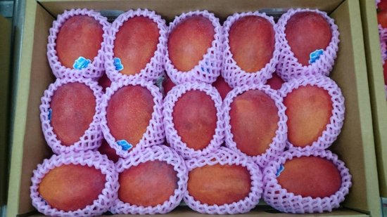 台湾愛文マンゴー アップルマンゴー 5kg 個数10 14個