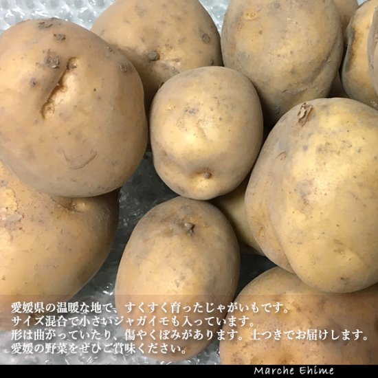 じゃがいも 3kg 混合 ジャガイモ 家庭用 愛媛 地域限定送料無料