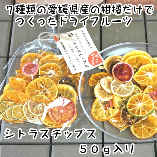 無添加ドライフルーツ シトラスチップス 愛媛産柑橘使用