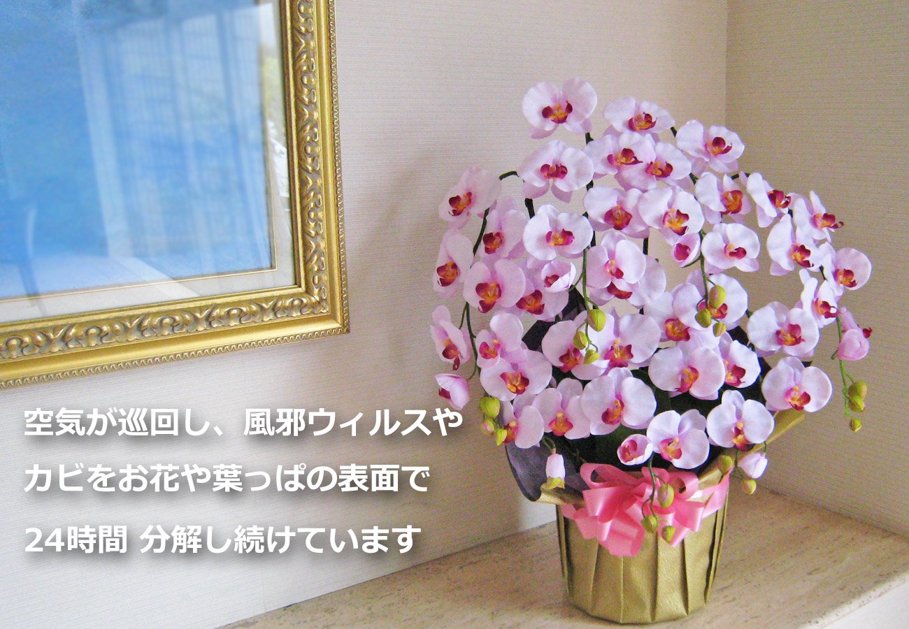 光触媒フラワーショップ「リョクエイ」胡蝶蘭造花通販の専門店 ギフトに人気の立派で豪華な造花を販売