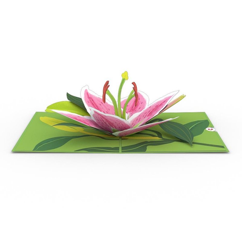 ユリ 百合 の花のポップアップカード Nisshodo Greeting