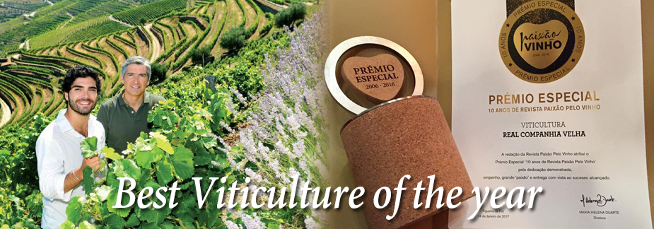 Best Viticulture of the year