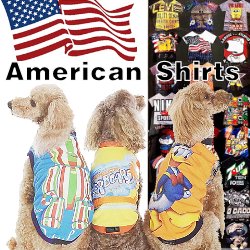 アメリカンTシャツ