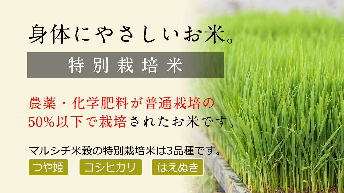 特別栽培米 販売 通販 顔の見える米 マルシチ米穀株式会社