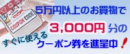 3000円クーポン券のバナーの画像