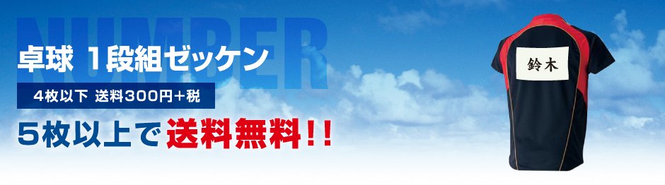 卓球  1段組ゼッケン４枚以下 送料300円＋税５枚以上で送料無料!!