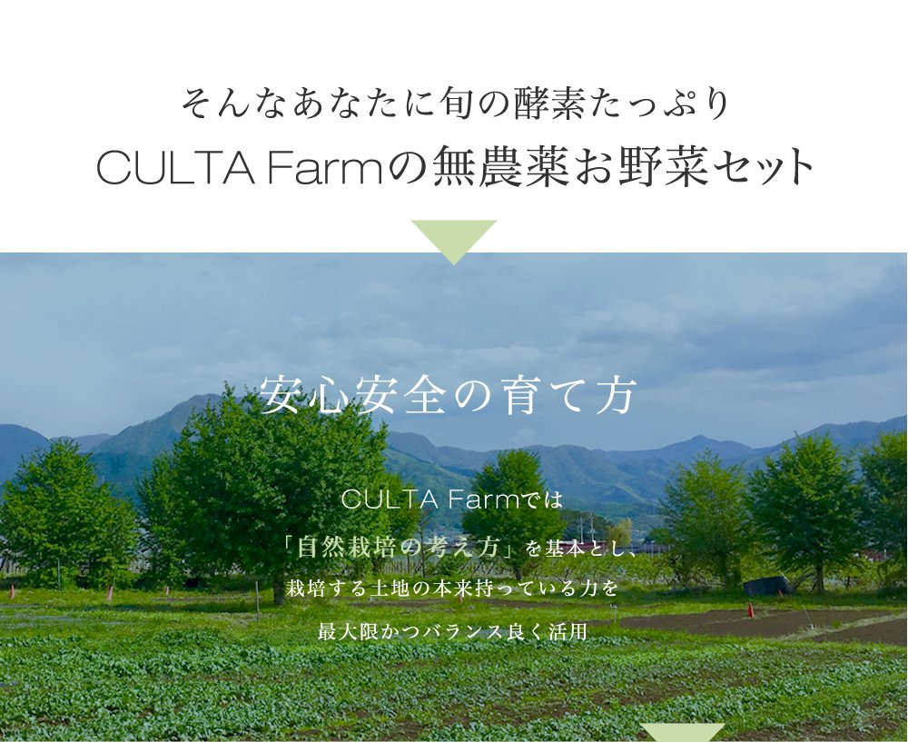そんなあなたに旬の酵素たっぷりCULTA Farmの無農薬お野菜セット
安心安全の育て方CULTA Farmでは
 「自然栽培の考え方」 を基本とし、
栽培する土地の本来持っている力を
最大限かつバランス良く活用

