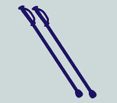 2本杖