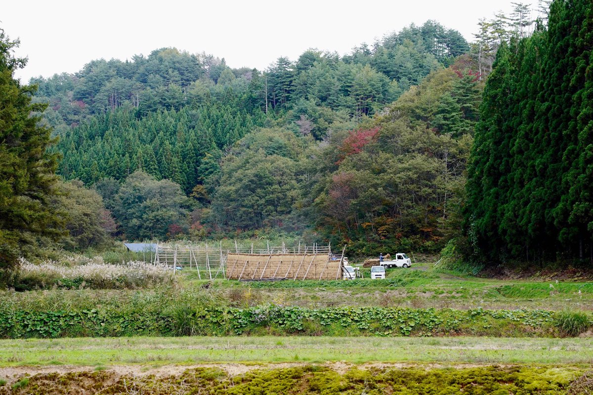 集落方面から見た古庭屋farmのはさがけ米専用田んぼ