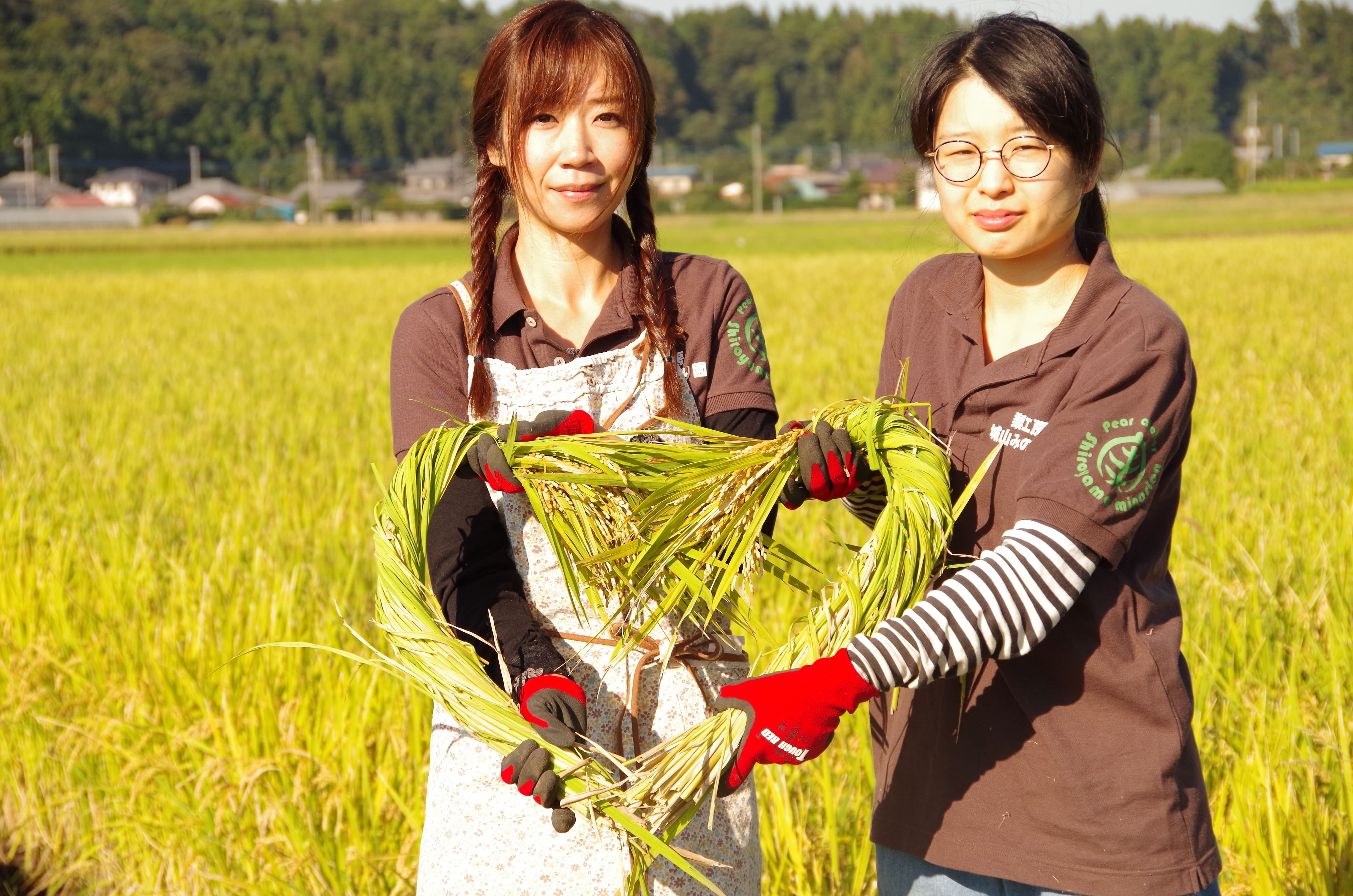 農業女子がお米の収穫に挑戦