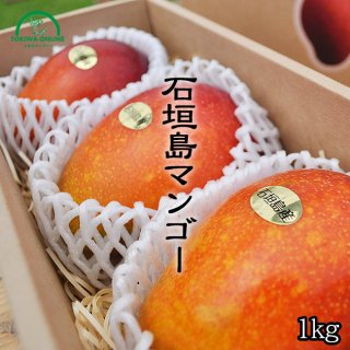 沖縄県石垣島の【ときわマンゴー農園】商品紹介、販売（通販）ページ 【石垣島マンゴー】や【訳ありマンゴー】、【ミニマンゴー】の通販、石垣のマンゴーは、 沖縄マンゴー、宮崎マンゴー、台湾マンゴーに負けず美味しい。