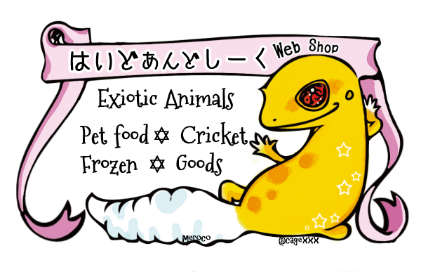 はいどあんどしーく Web Shop