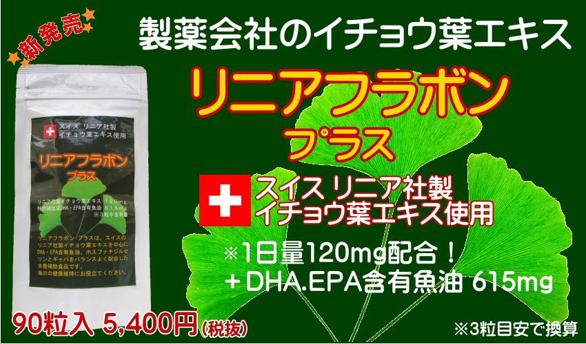 即日発送 DHA イチョウ葉プラス   大豆レシチン ビタミンE 2袋以上購入で5日分サンプル付  80粒入×3袋 約120日分 EPA  オメガ３ サプリ イチョウ葉