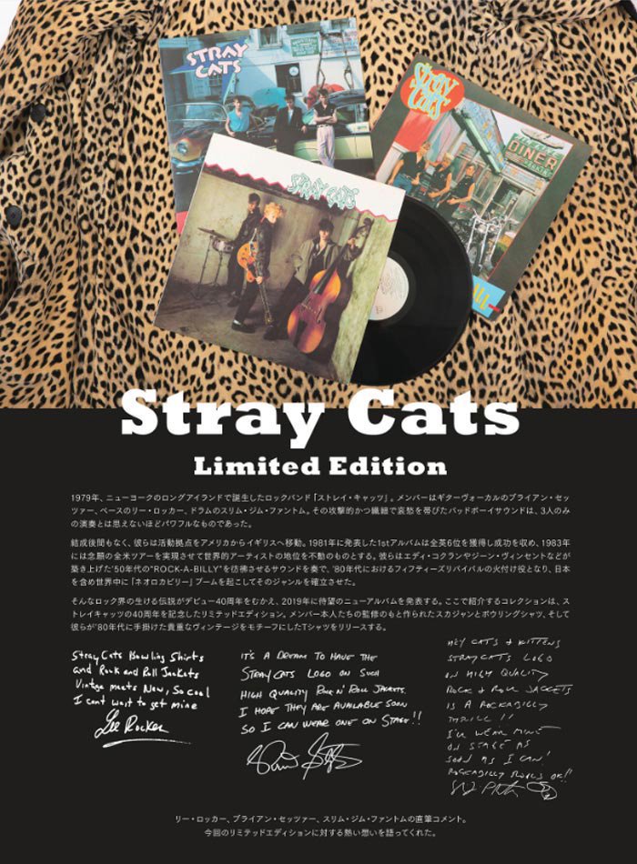 STRAY CATS ストレイキャッツ × STYLE EYES スタイルアイズ[SE38204