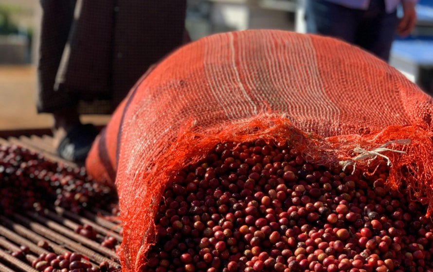 『旅の音』が出会った世界のコーヒー豆を、ご家庭で。