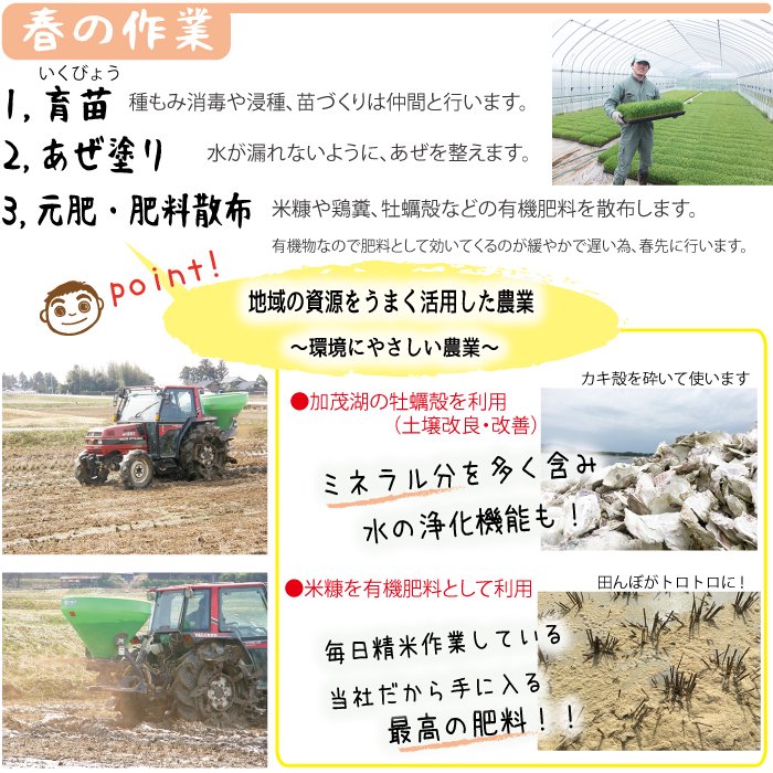 米作りの説明