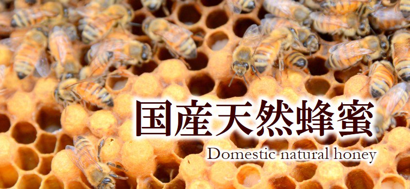 国産天然蜂蜜