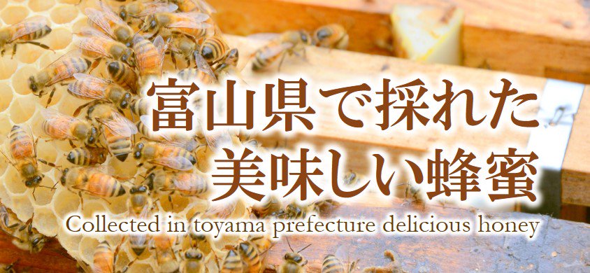 富山県で採れた美味しい蜂蜜