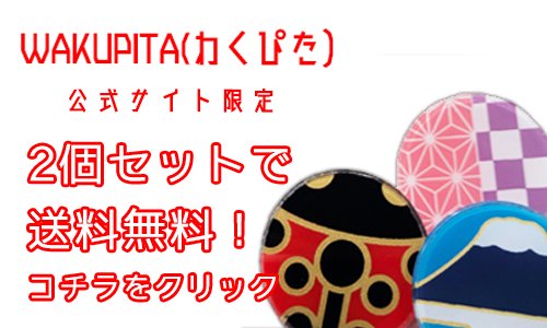 橋本漆芸のマスクチャーム2個セット