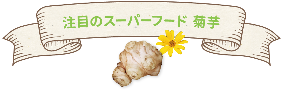 注目のスーパーフード 菊芋