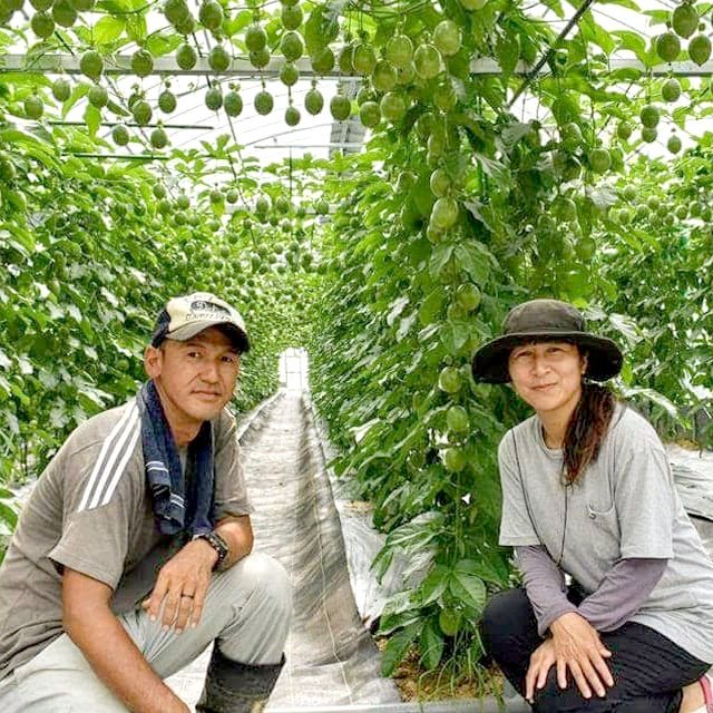 生産者の紹介｜かごしまぐるり｜鹿児島の旬の味わいを産地直送でお届け