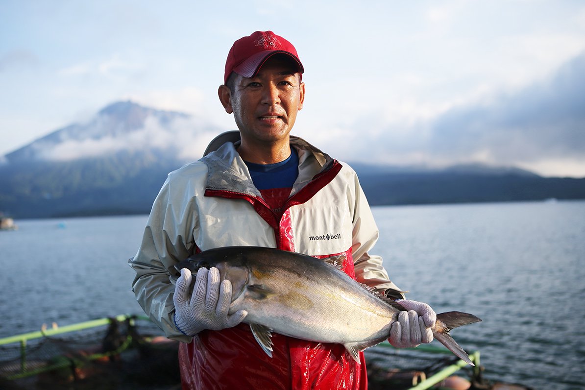 The finest greater amberjack from Mitsumi Suisan