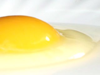 業務用卵,業務用卵販売,九州卵 業務用,安全な卵 業務用,業務用卵通販,美味しい九州卵  業務用,業務用,卵,たまご,九州,安全,美味しい,お取り寄せ,通販