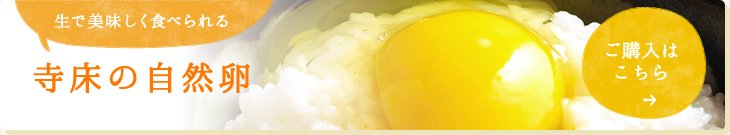 生でおいしく食べられる！寺床の自然卵,九州卵,美味しい卵,卵通販,卵お取り寄せ,業務用卵,安全な卵